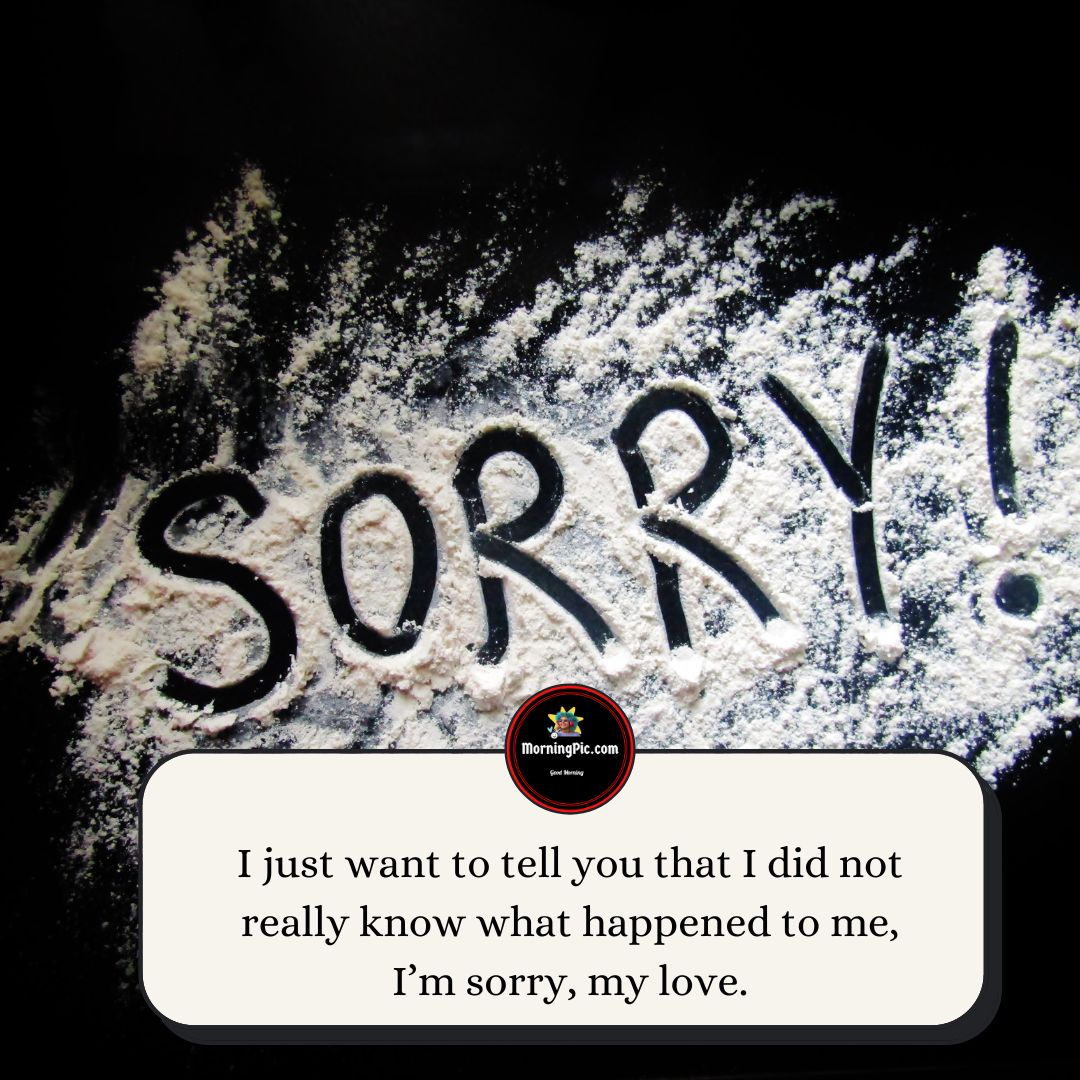 Sorry quotes for love