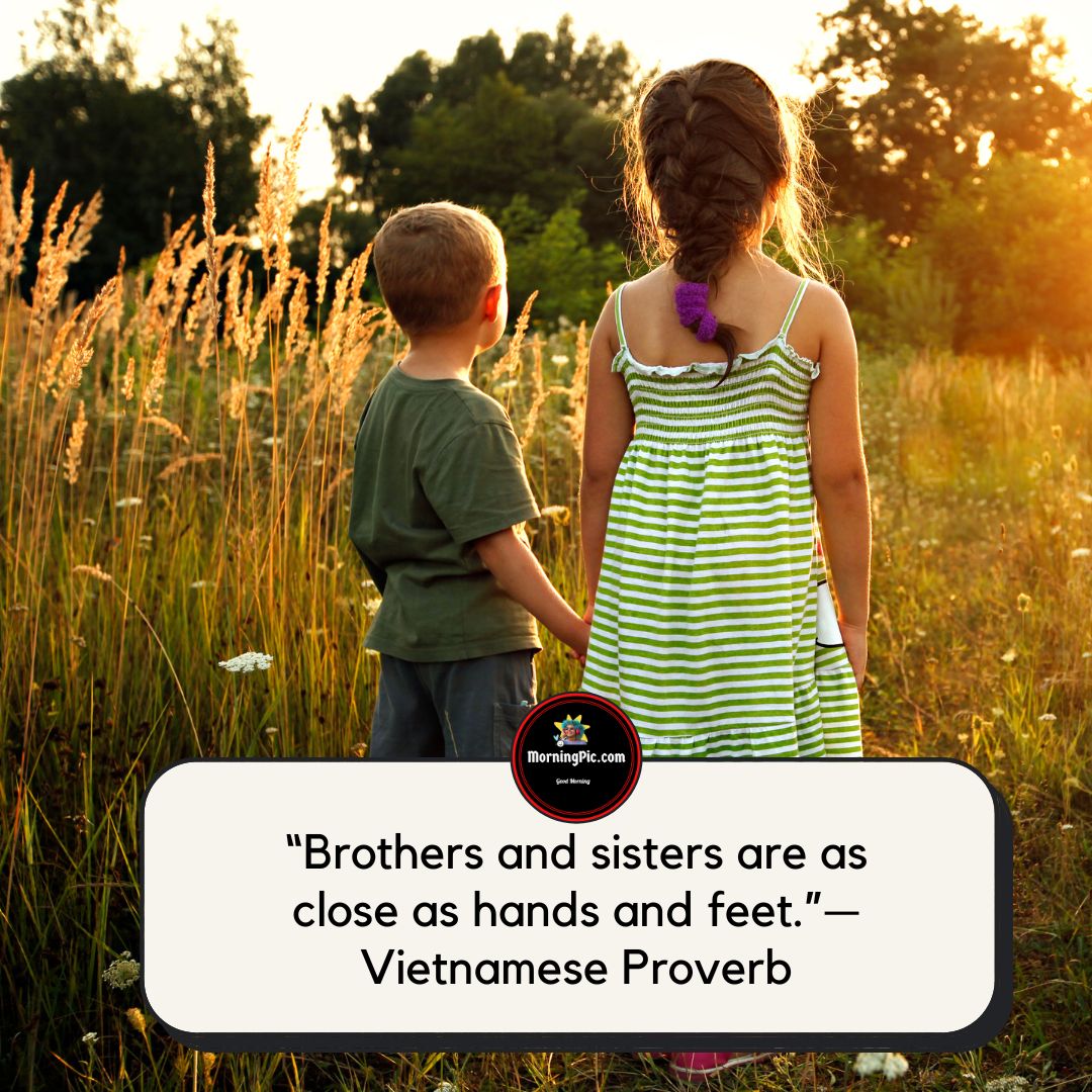 Brother Quotes