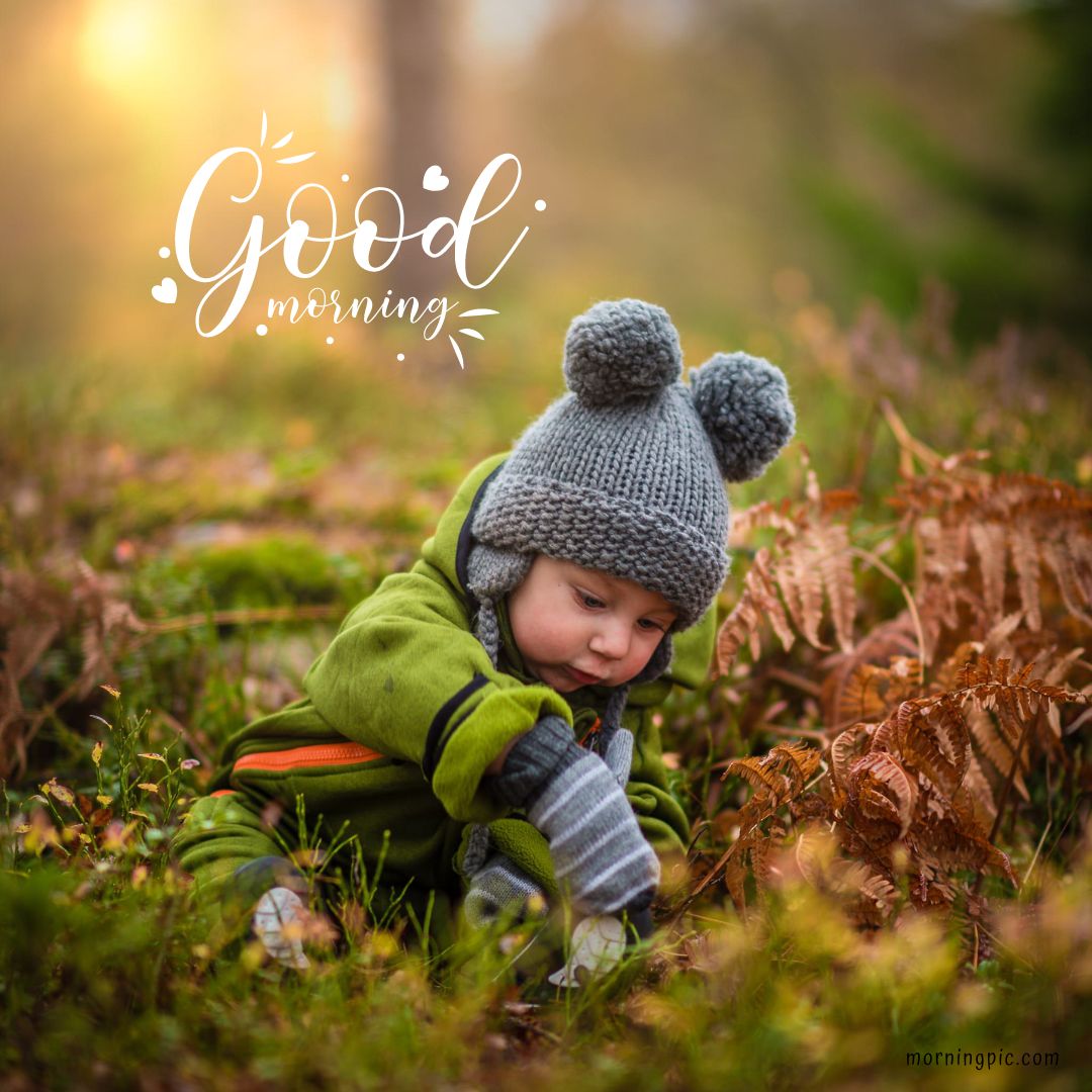 A toddler dressed in a gray hat with pom-poms, green coat, and striped gloves explores autumn leaves and ferns. The background is a sunlit forest. Text in the upper left corner reads "Good Morning Baby Images" in white, cursive font. The bottom right has a website watermark.