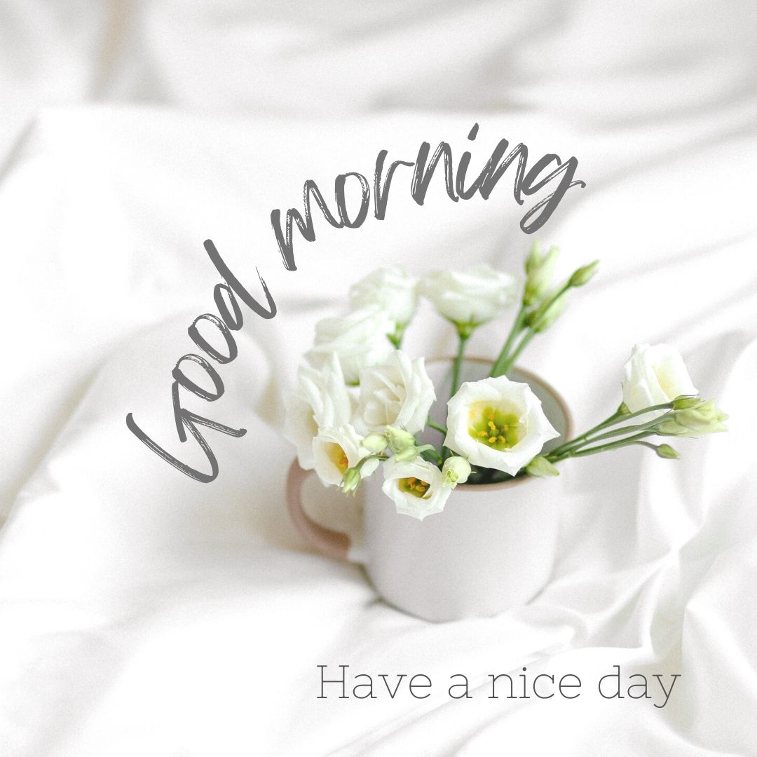 A white mug filled with delicate white flowers sits on a white fabric background. In elegant cursive font, "Good Morning" greets you above the blooms, while "Have a Nice Day" sends warm wishes below them.