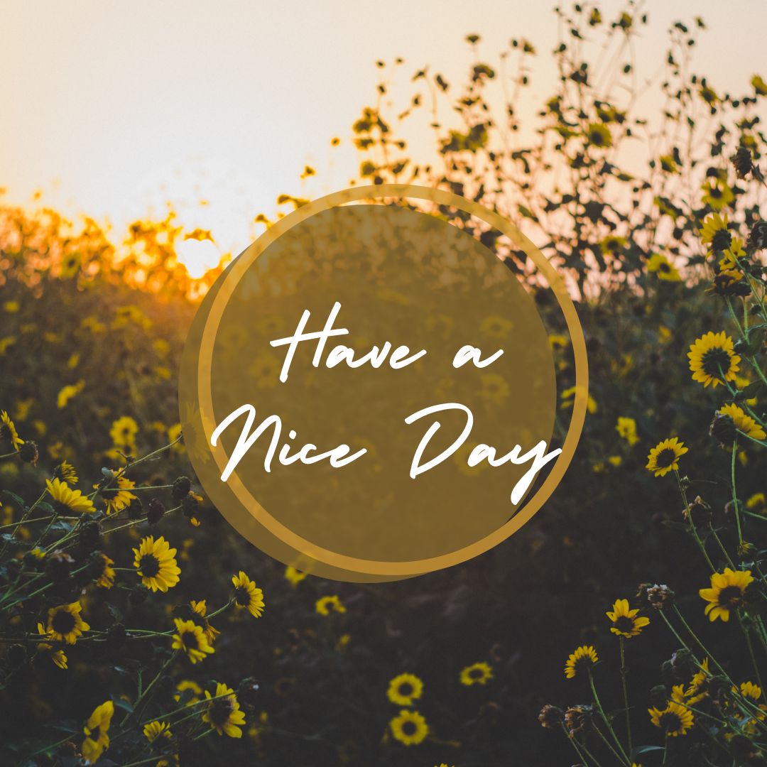 A field of vibrant yellow wildflowers is seen at sunrise. In the center of the image, slightly transparent text within a circular background reads "Good Morning, Have a Nice Day" in elegant cursive font.