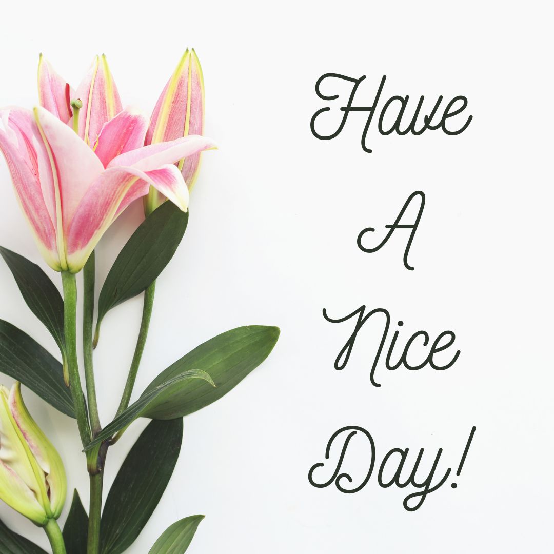 A stem of blooming pink lilies with green leaves is displayed on the left side of the image. On the right side, in elegant black cursive font, the text reads, "Good Morning! Have A Nice Day!" against a plain white background.