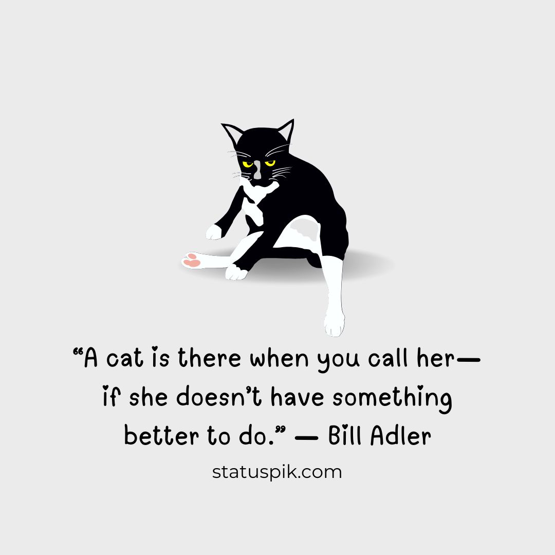 200+ Adorable Inspirational Cat Quotes That Will Make You Happy ...