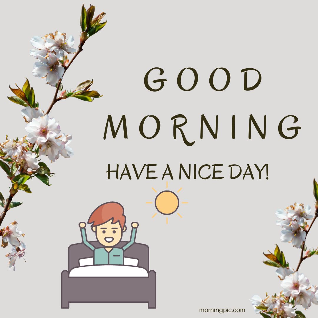 An illustration featuring a morning greeting. Text reads "Good Morning, Have a Nice Day!" accompanied by an image of a stretching person in bed and the sun. The background has blooming branches with white flowers. A small "morningpicdaily.com" is noted at the bottom right, perfect for good morning have a nice day images.