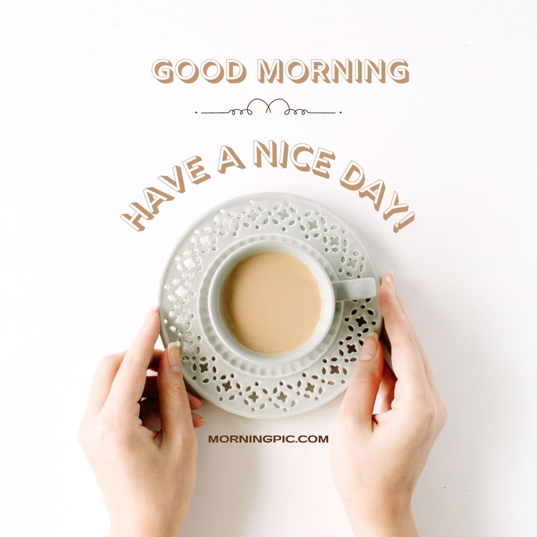 A pair of hands holding a lacy white cup filled with coffee or tea. The background is white, and above the cup, the text reads "GOOD MORNING" and "HAVE A NICE DAY!" For more good morning have a nice day images, visit morningpicdaily.com written below the cup.