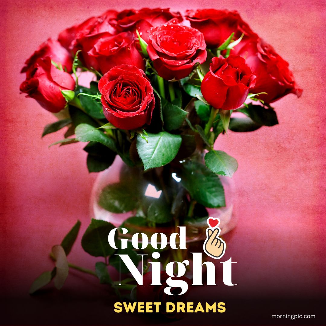 Beautiful Sweet Dreams Good Night Images