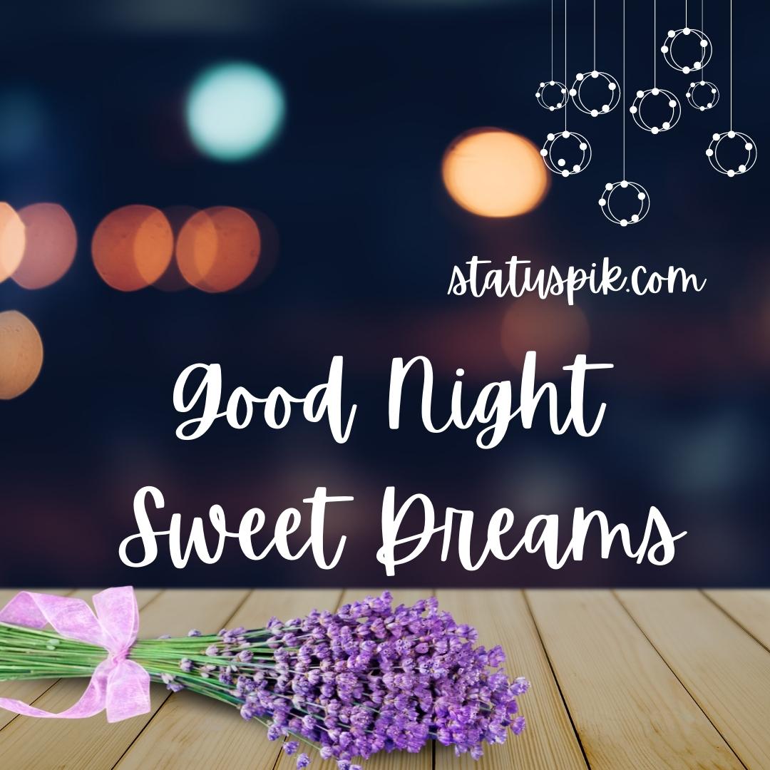 300+ Beautiful Sweet Dreams Good Night Images for Loved Ones - Good Night Sweet Dreams 12