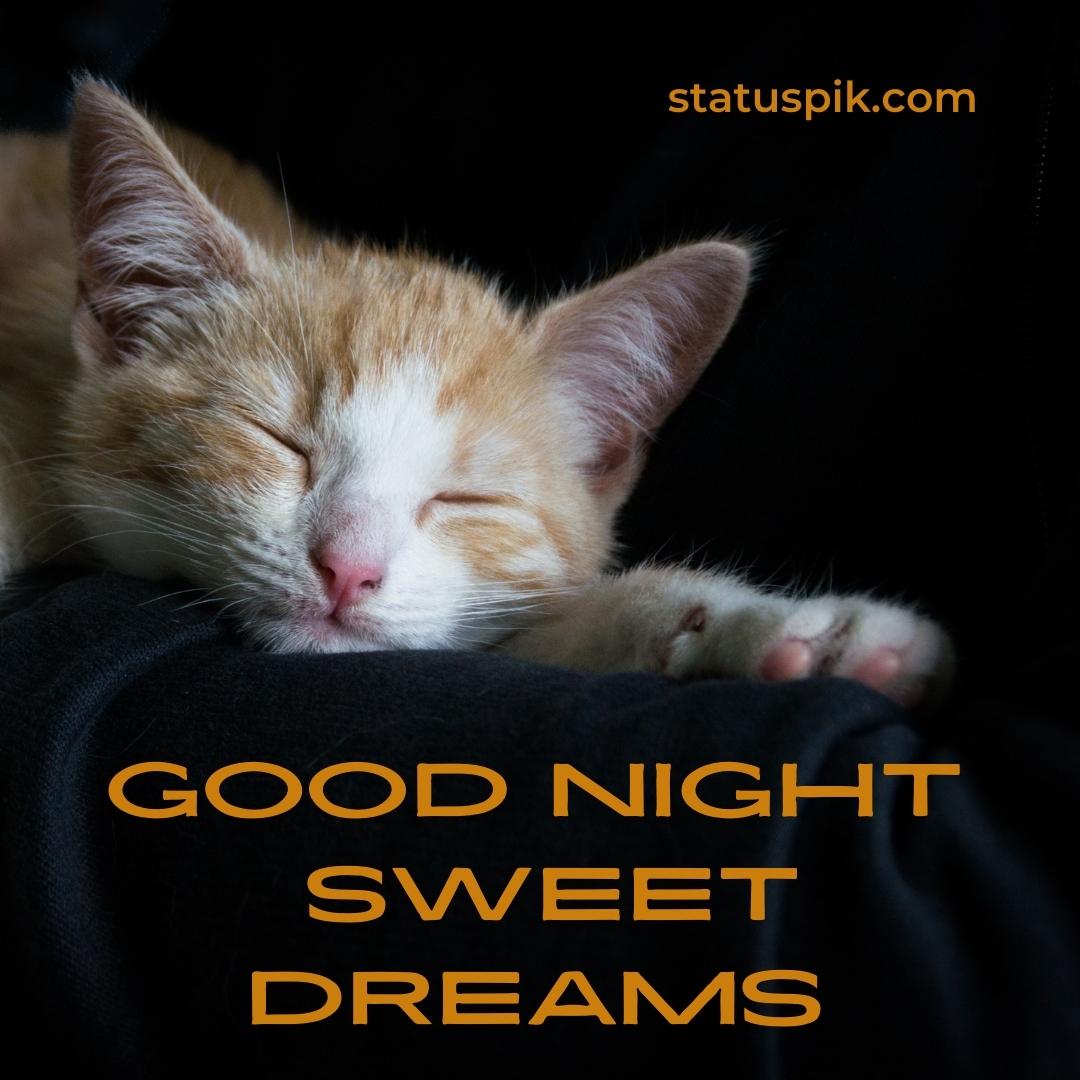 300+ Beautiful Sweet Dreams Good Night Images for Loved Ones - Good Night Sweet Dreams 24