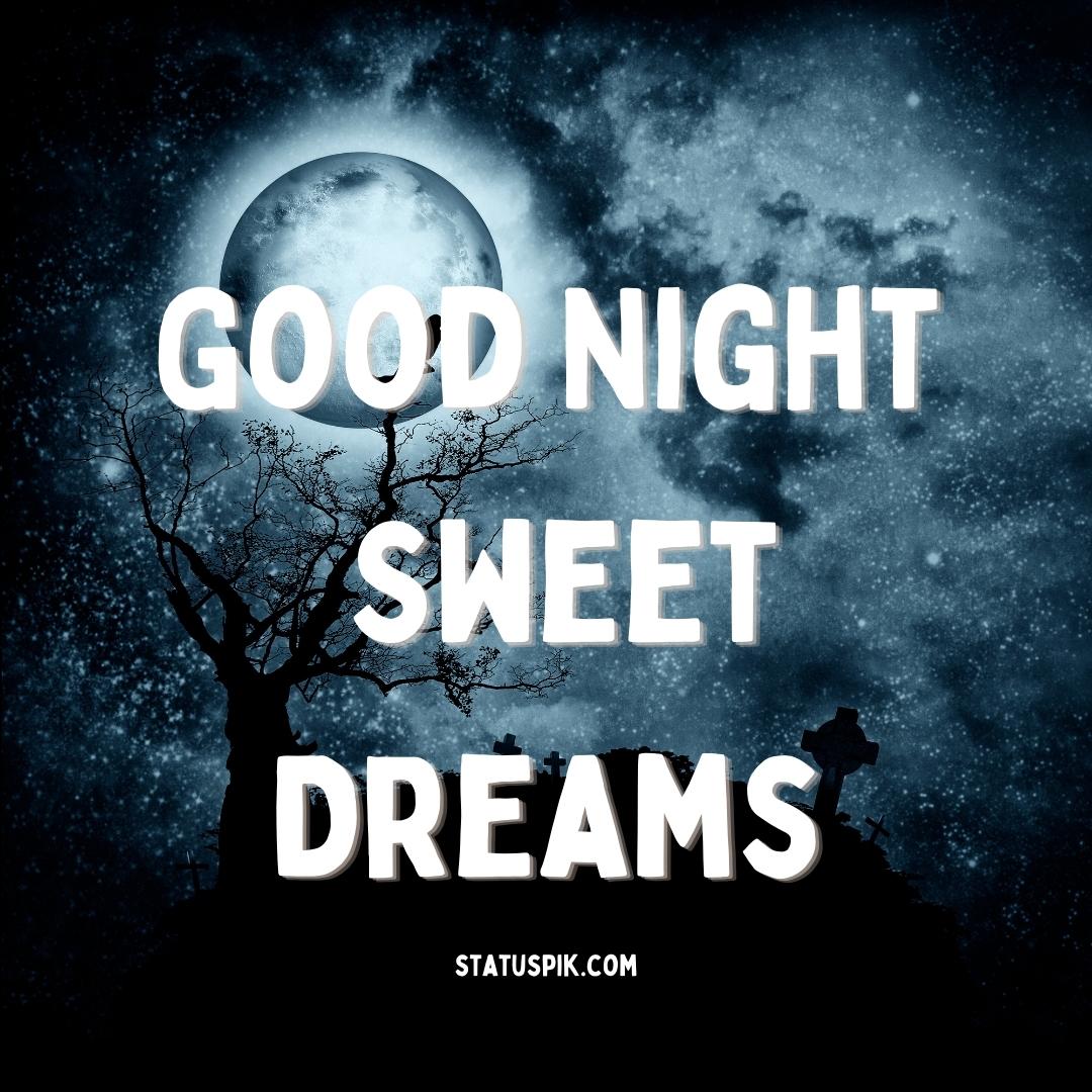 300+ Beautiful Sweet Dreams Good Night Images for Loved Ones - Good Night Sweet Dreams 30