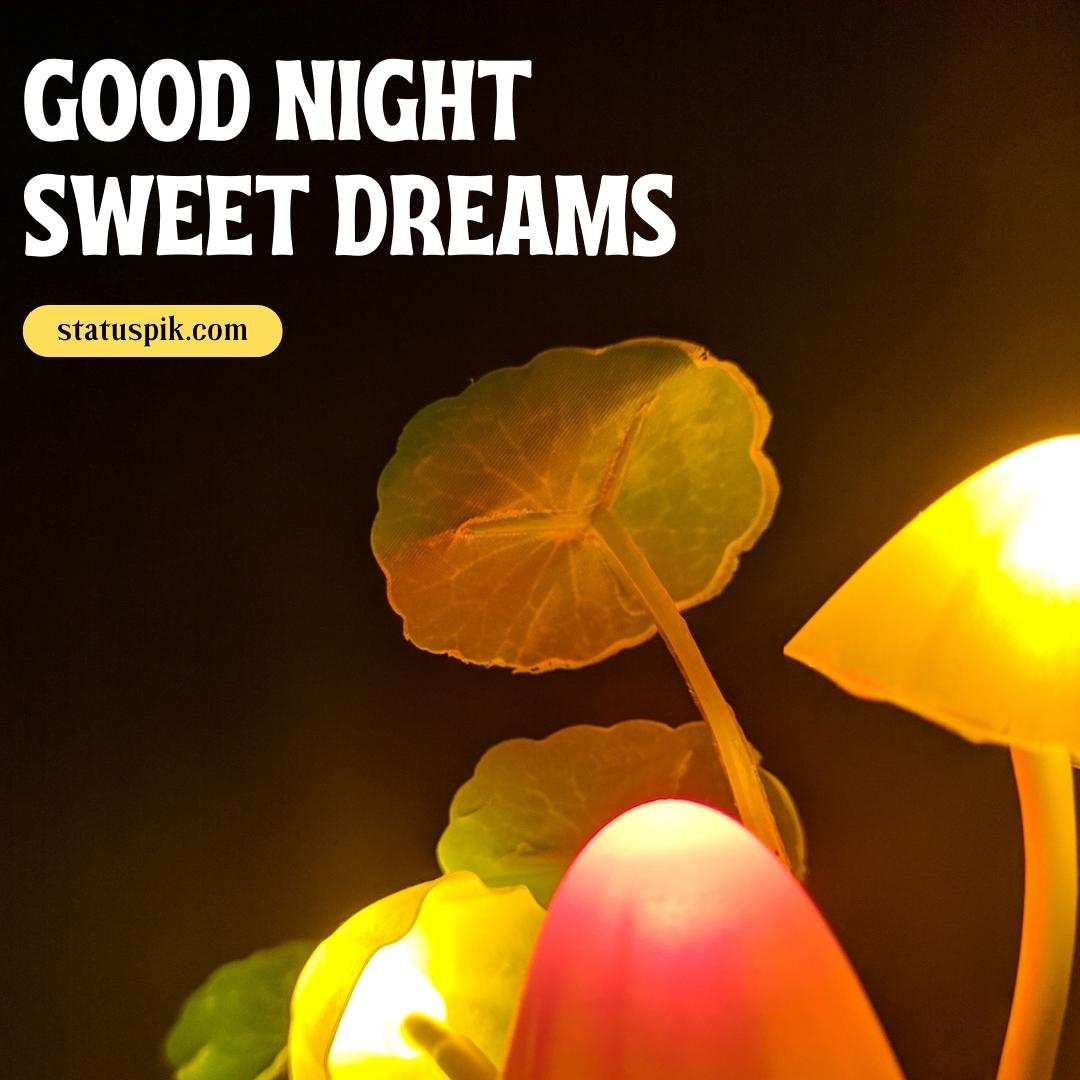 300+ Beautiful Sweet Dreams Good Night Images for Loved Ones - Good Night Sweet Dreams 85