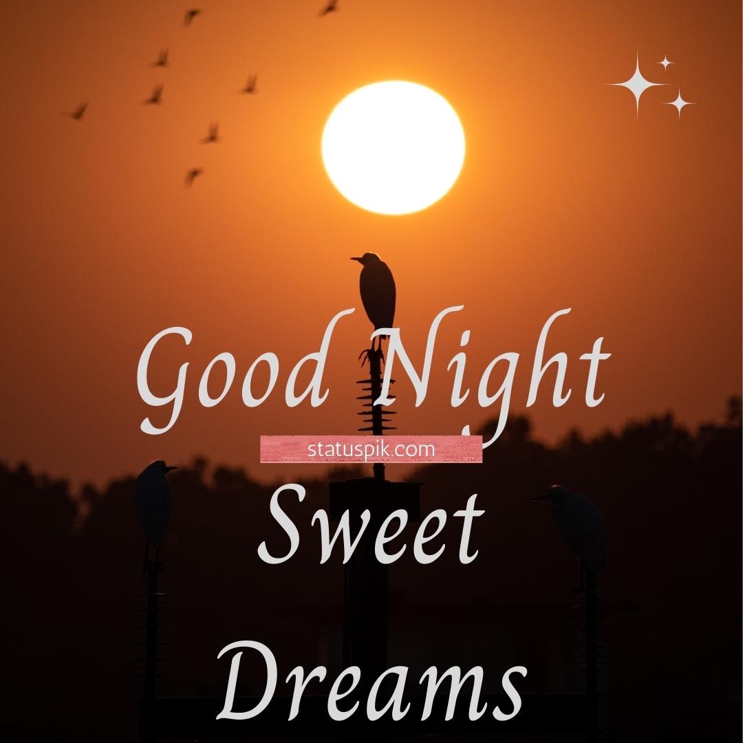 300+ Beautiful Sweet Dreams Good Night Images for Loved Ones - Good Night Sweet Dreams 96