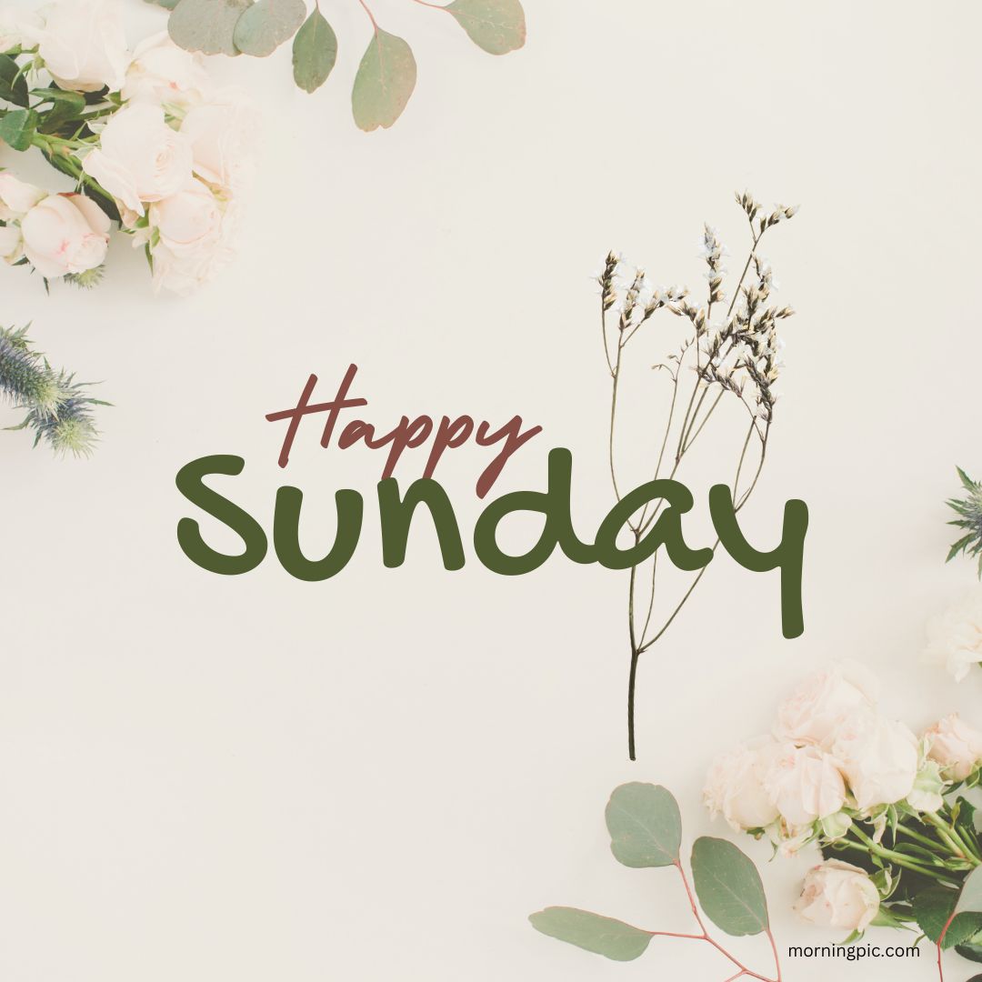 Good morning happy Sunday hd images