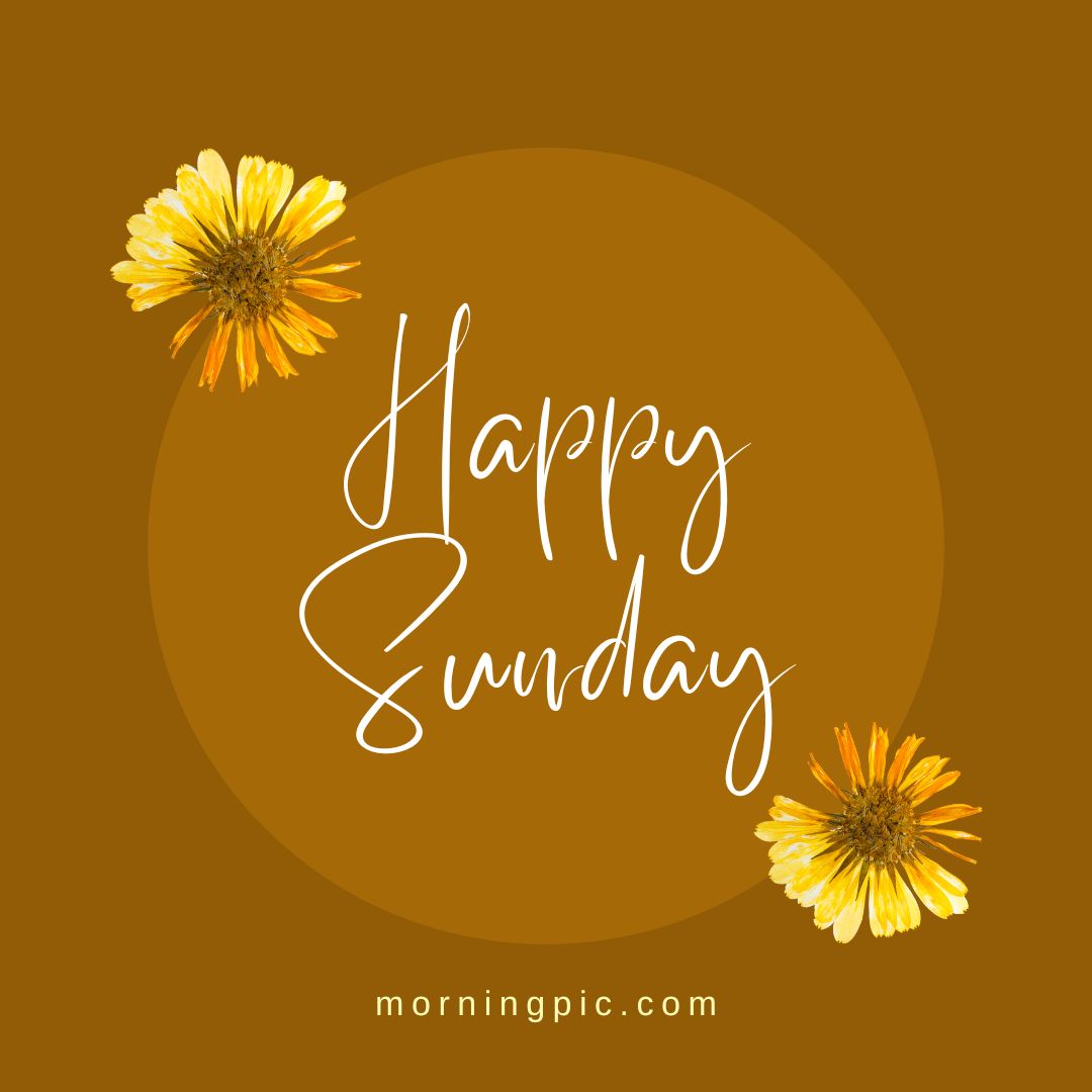 Good morning happy Sunday hd images