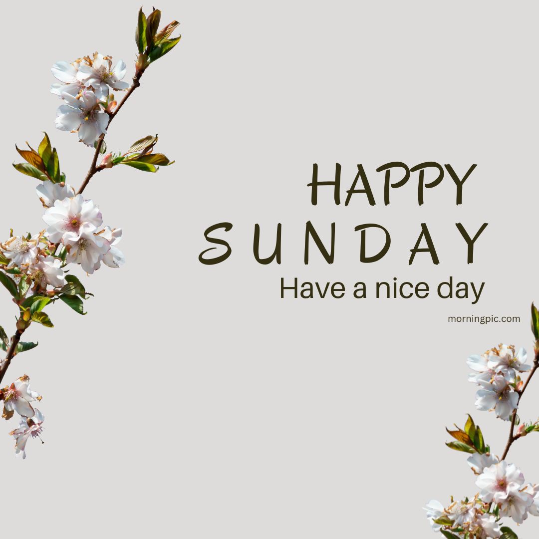 Good morning happy Sunday hd images