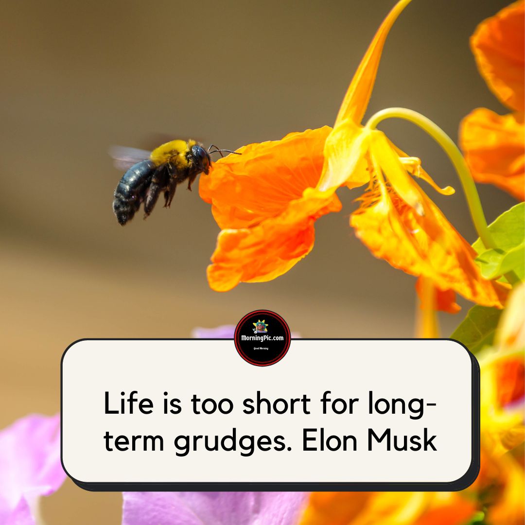 Life is too short Quotes