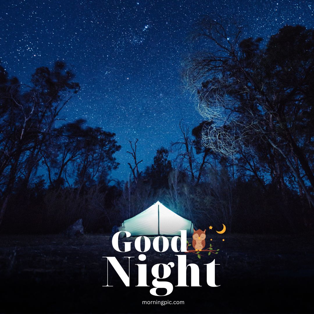 new good night images