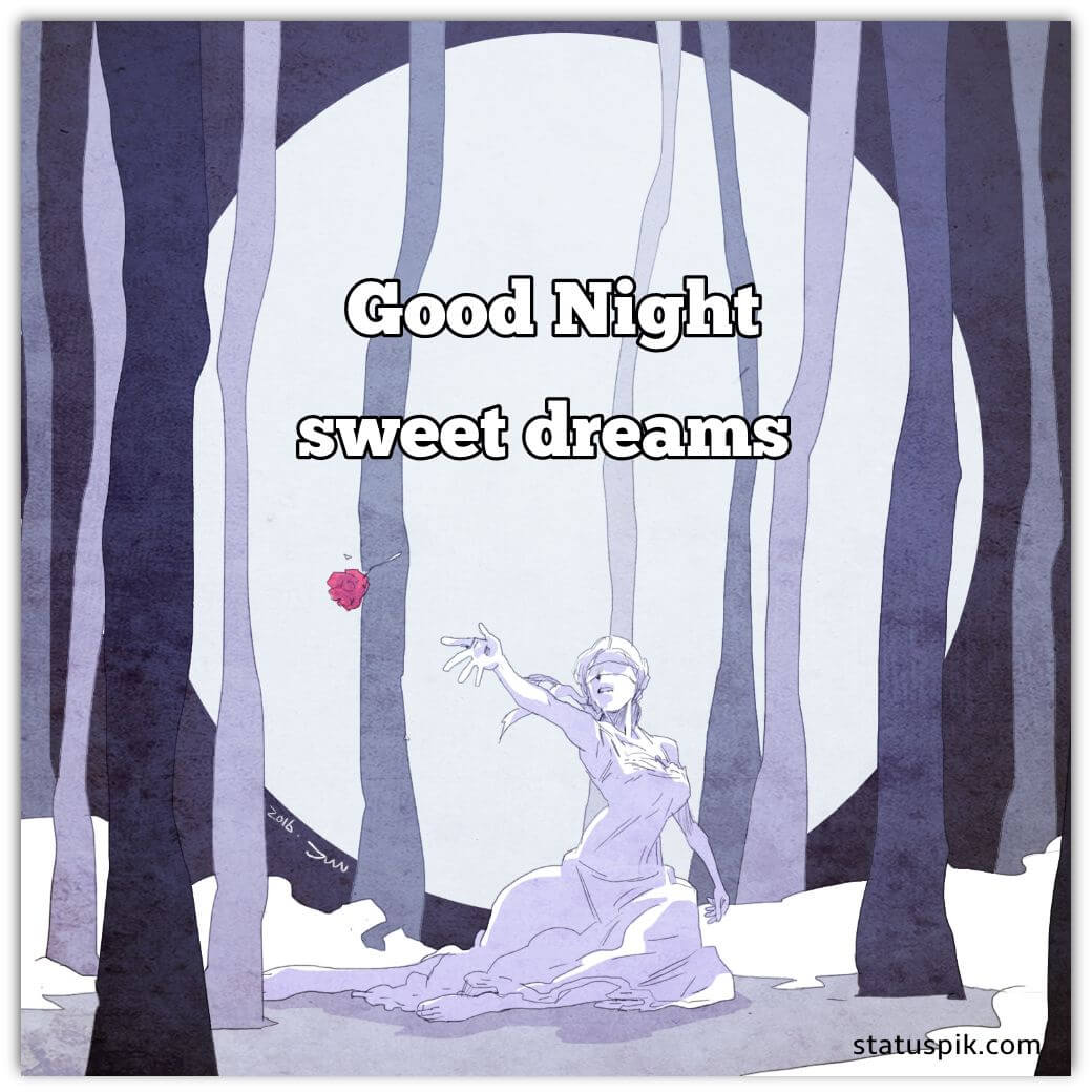 sweet dreams