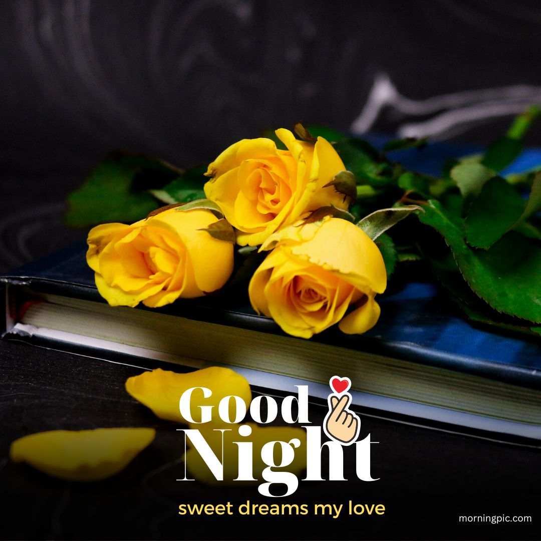 sweet dreams good night rose