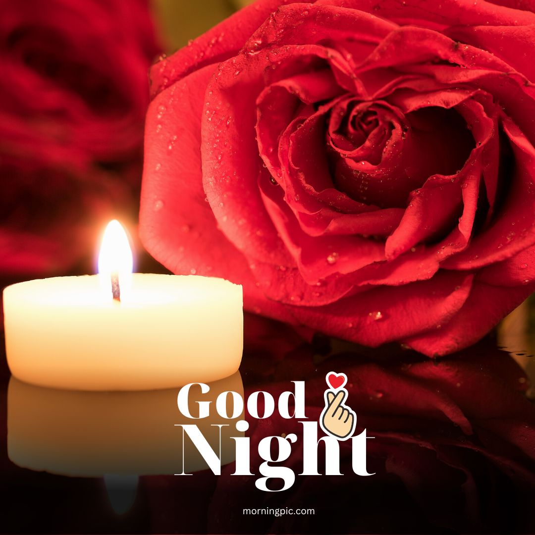 sweet dreams good night rose