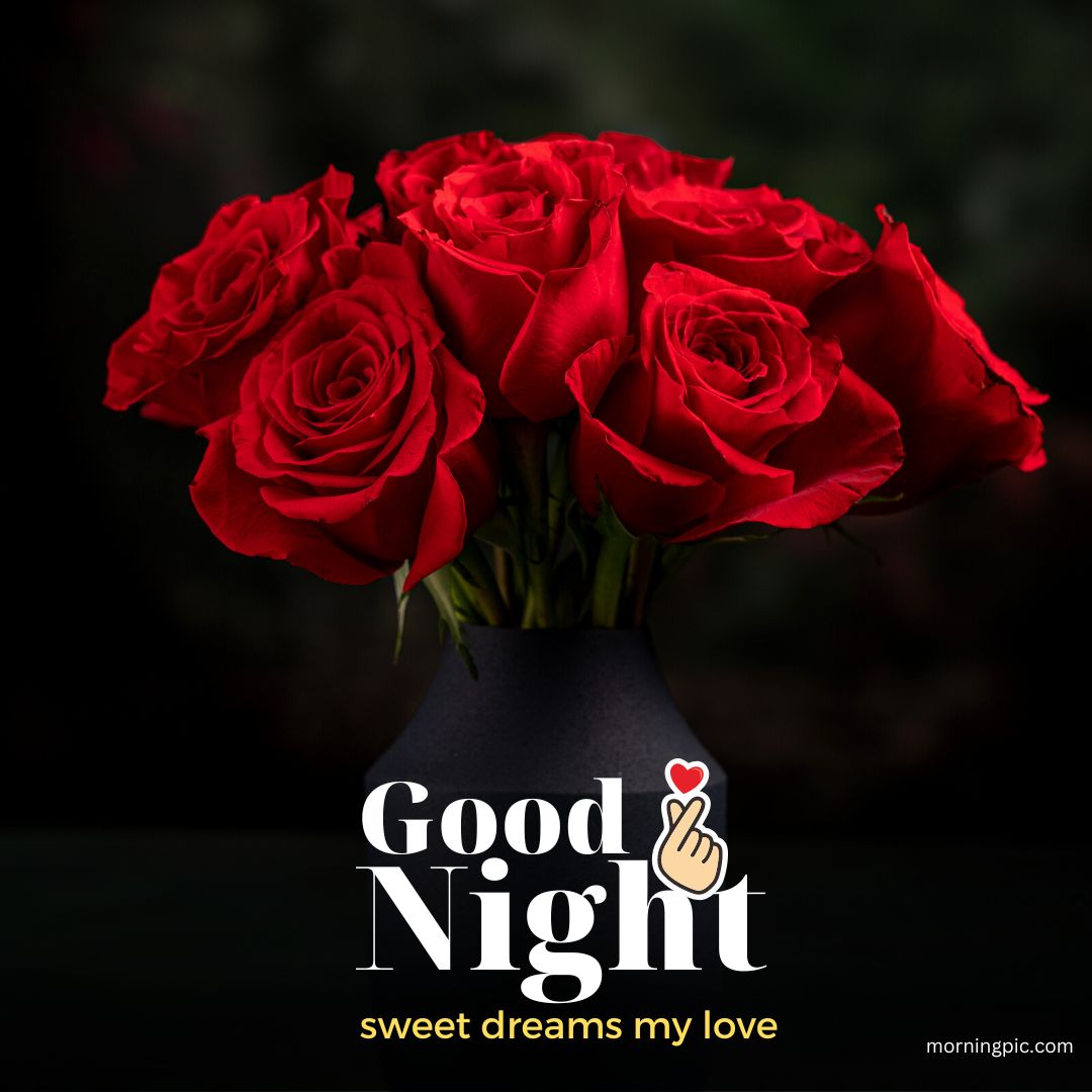 sweet dreams good night rose