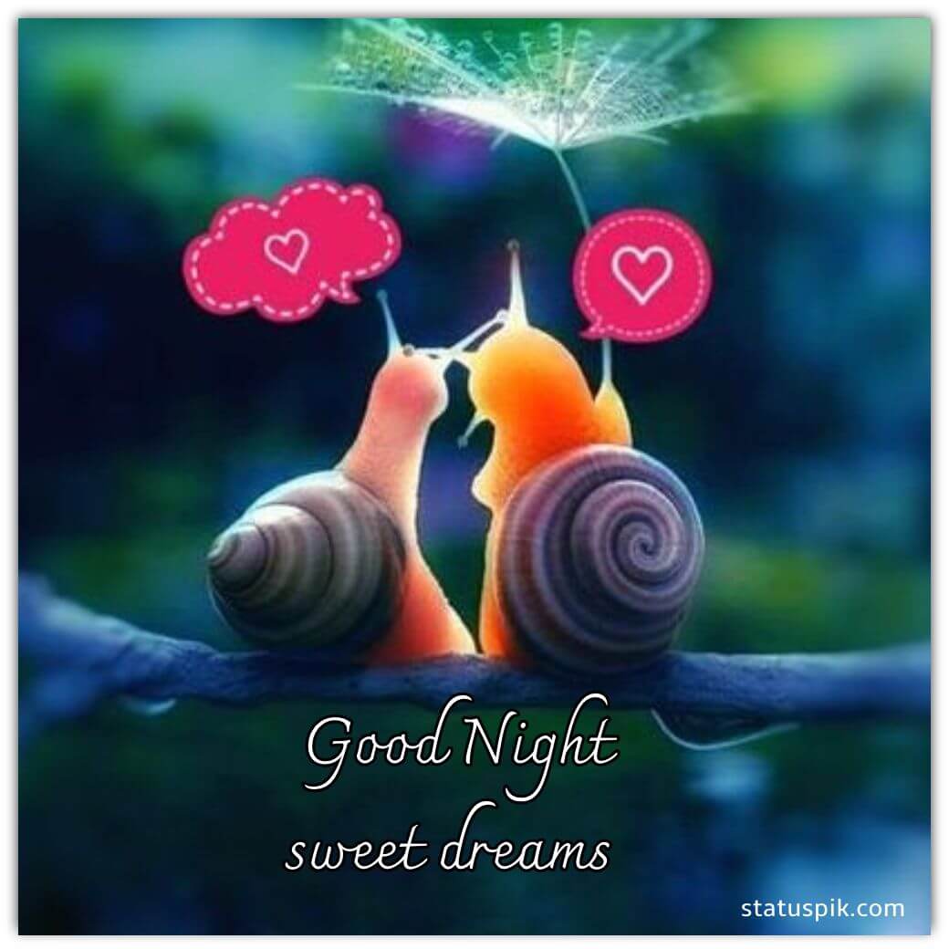 sweet dreams images