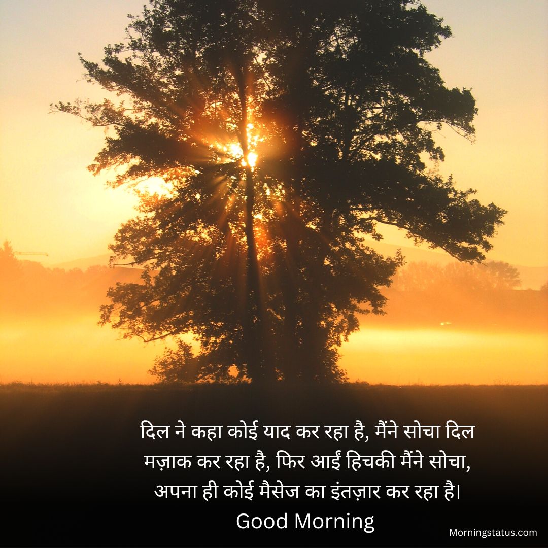 Good-Morning-Shayari-Image