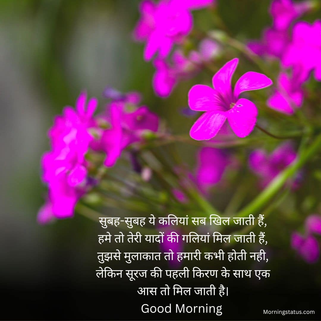 Good-Morning-Shayari-Image