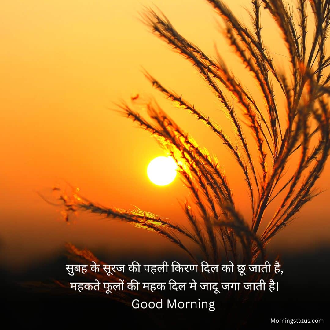 Good-Morning-Shayari-Image