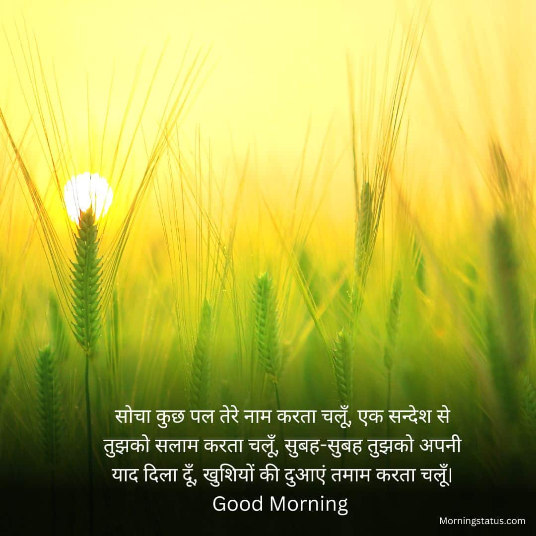 whatsapp good morning shayari 