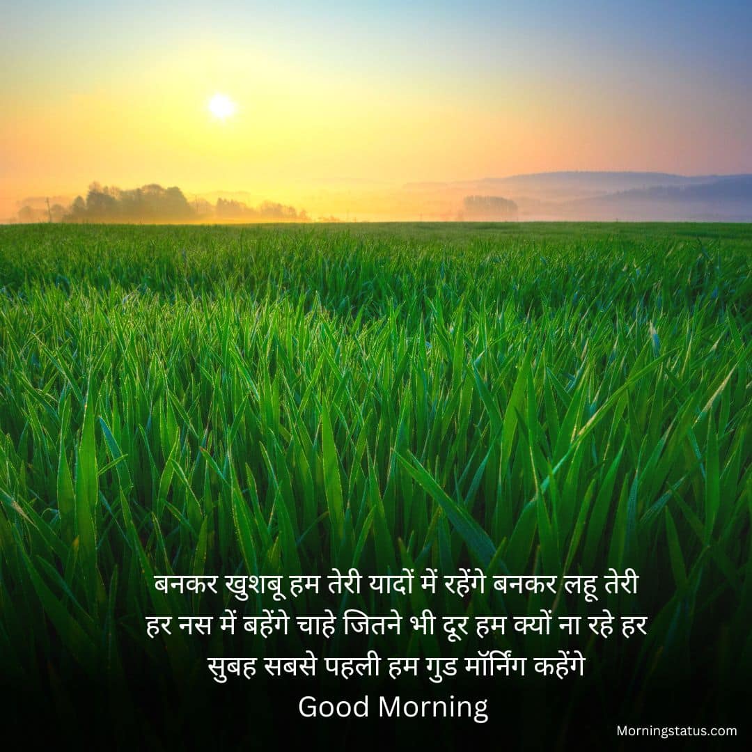 whatsapp good morning shayari 