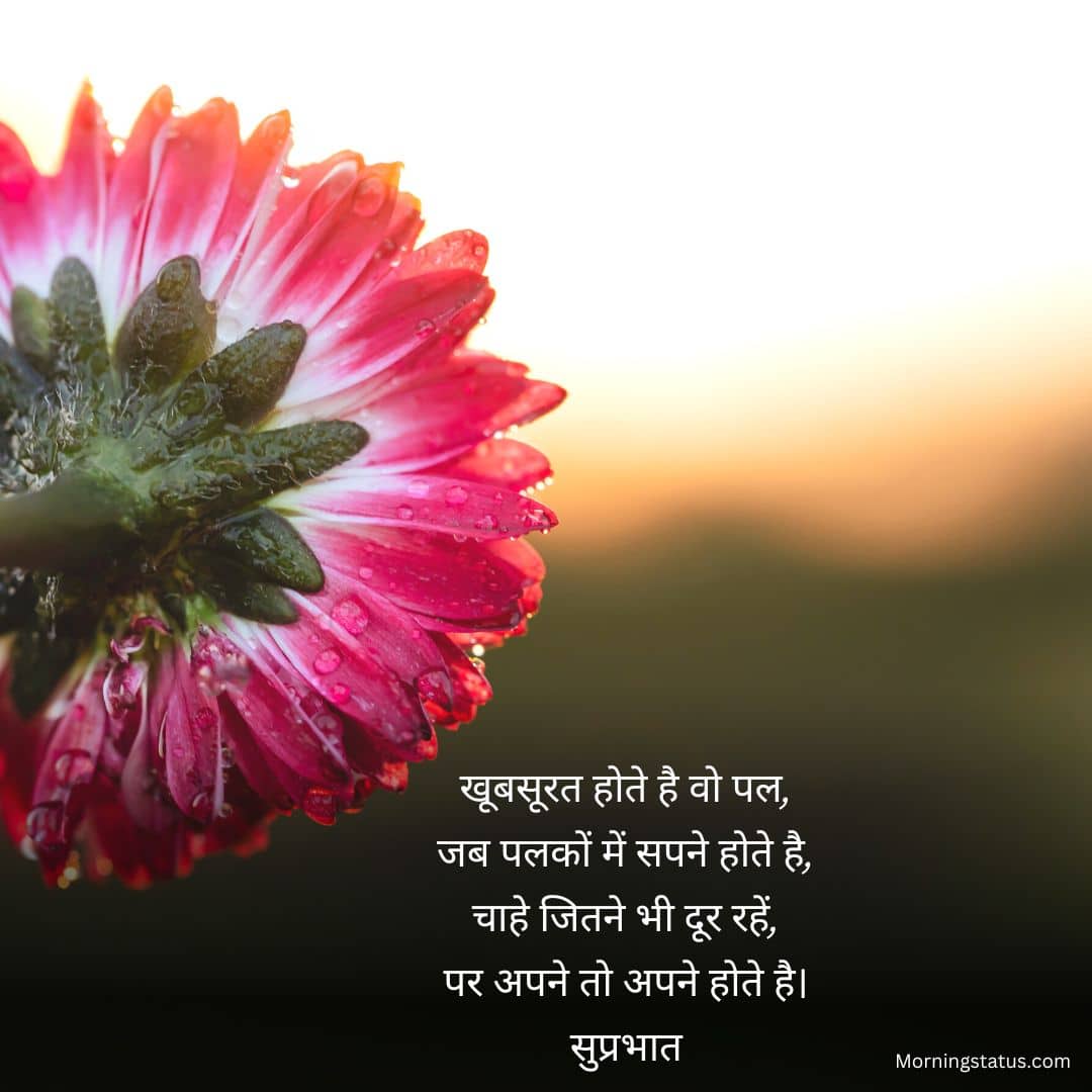 whatsapp good morning shayari 