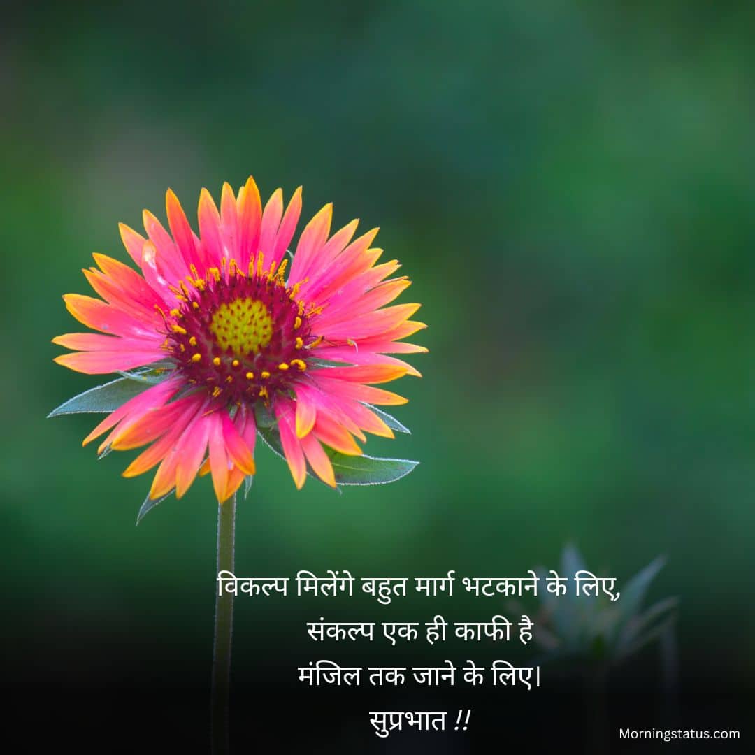 whatsapp good morning shayari 