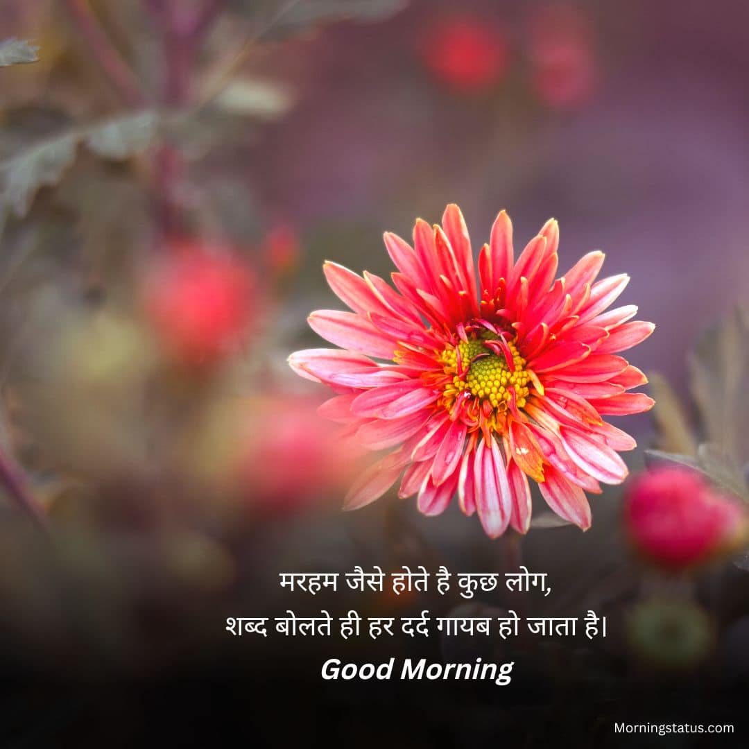 whatsapp good morning shayari 