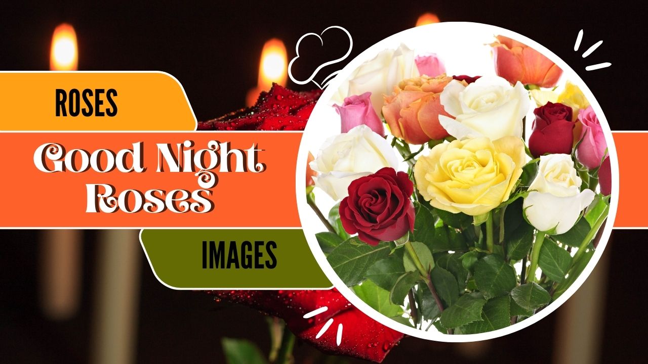 good-night-roses-images