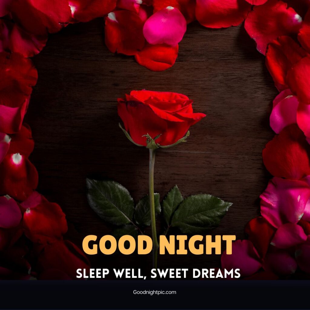 good night roses