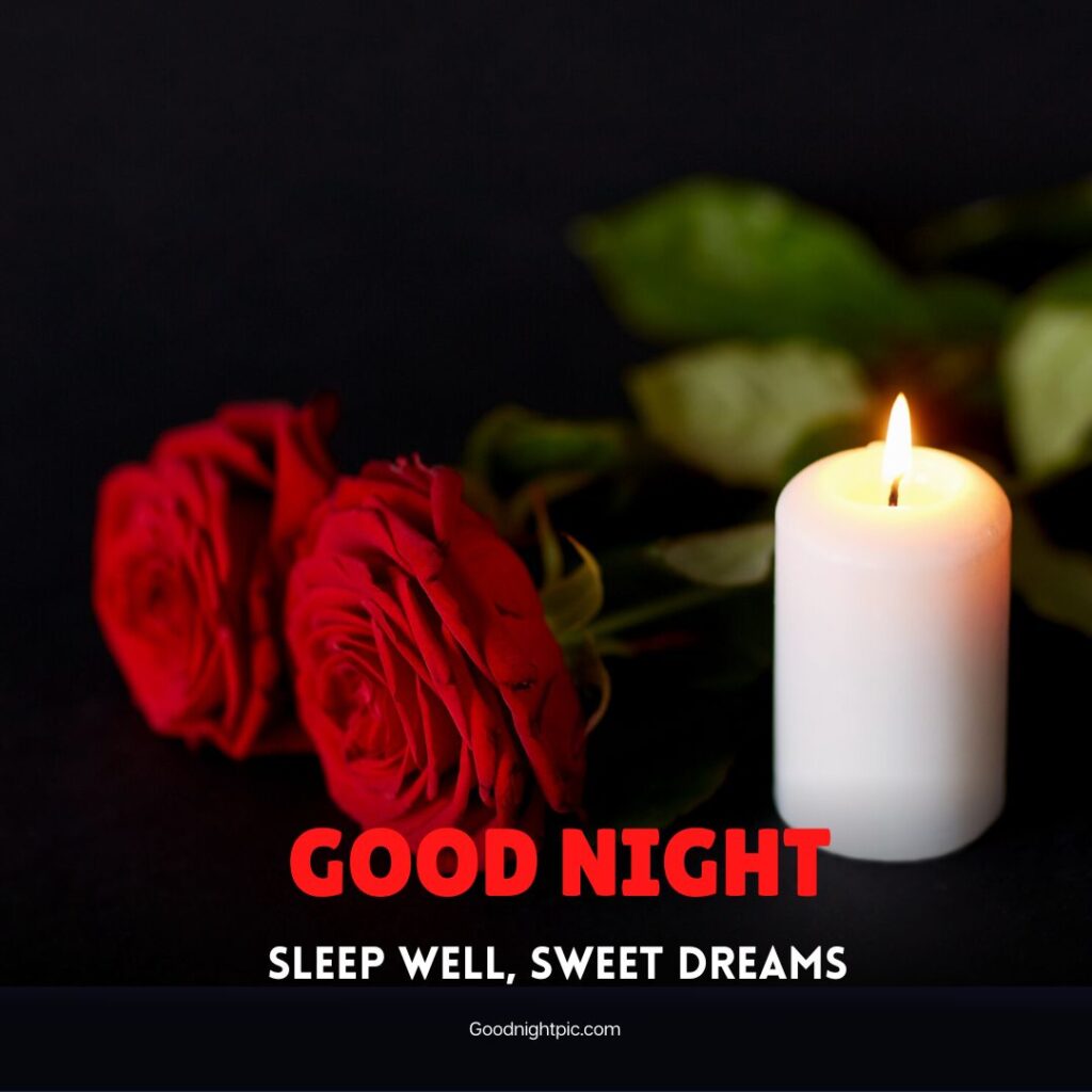 good night roses