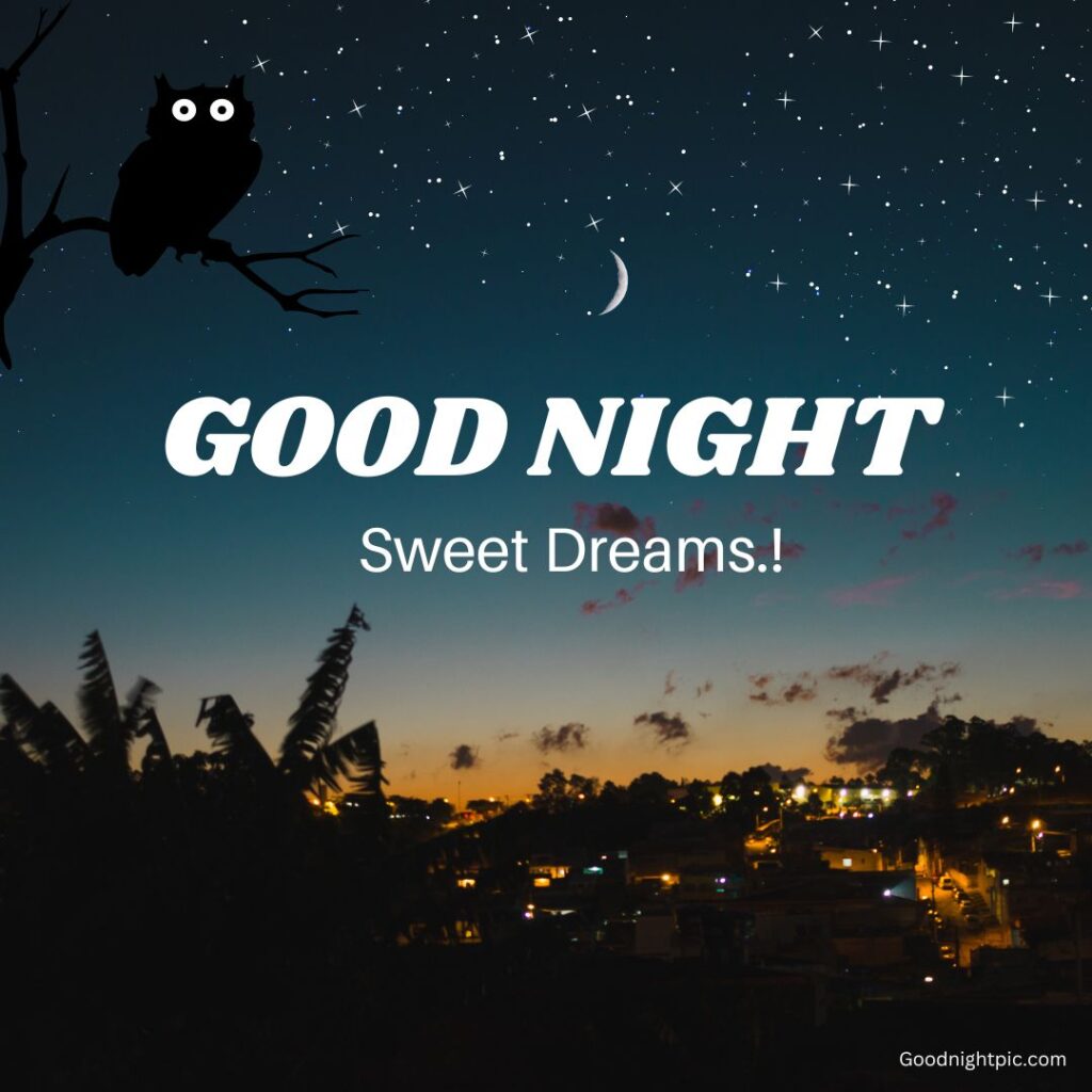 Good Night Sweet Dreams Images