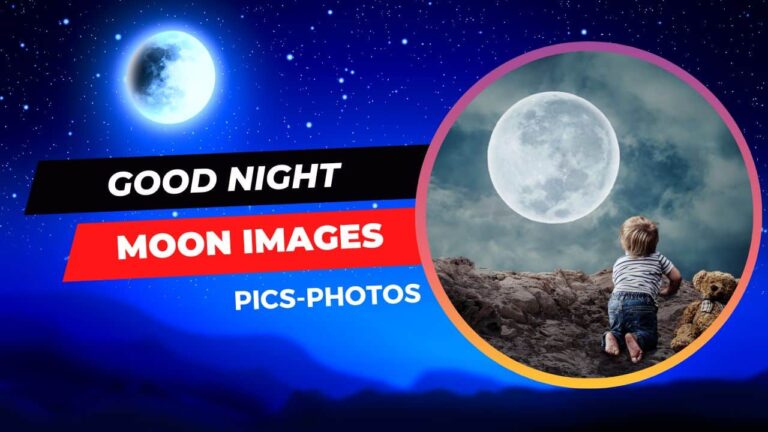 Good-night-moon-images