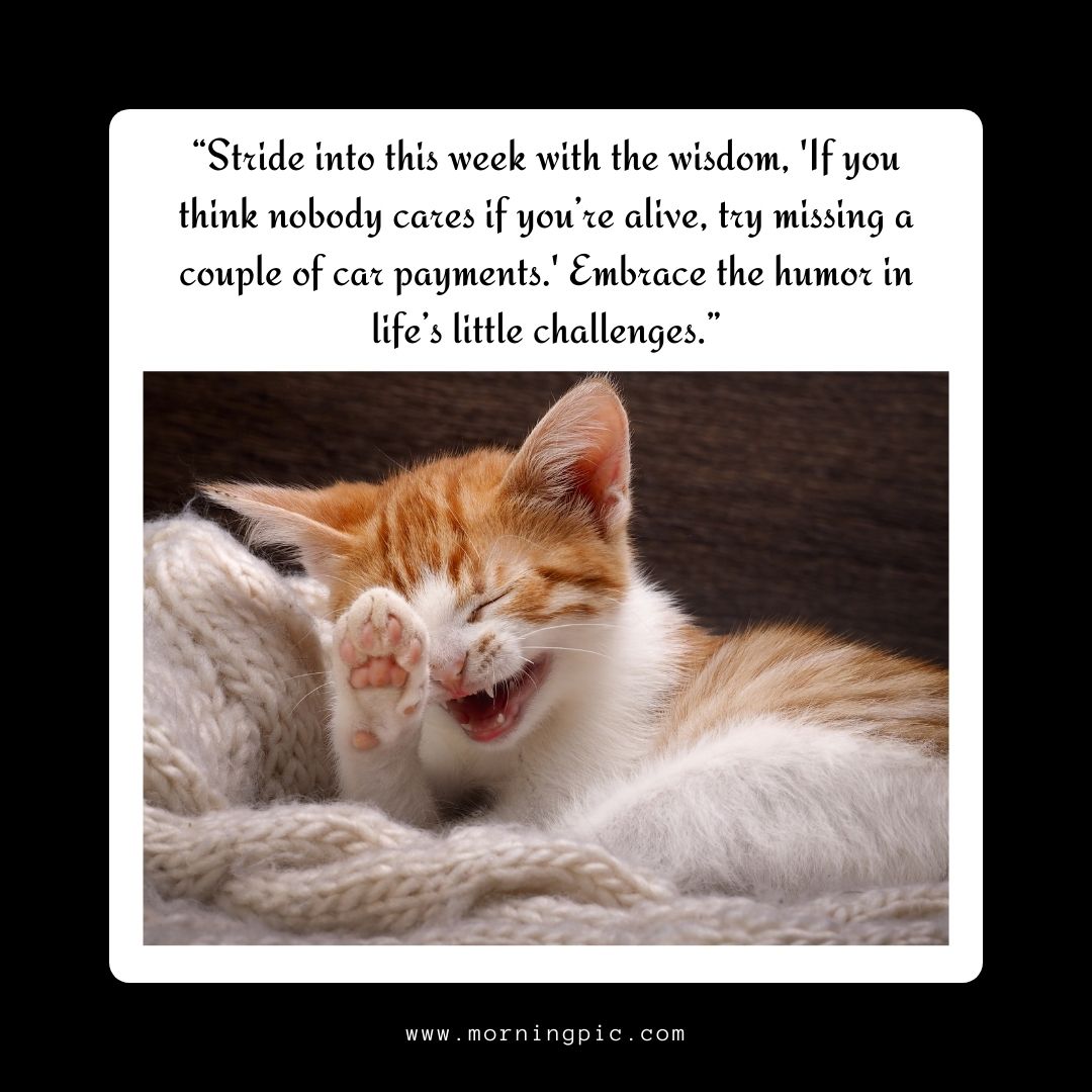 Monday Humor: Quirky and Funny Quotes to Start Your Week