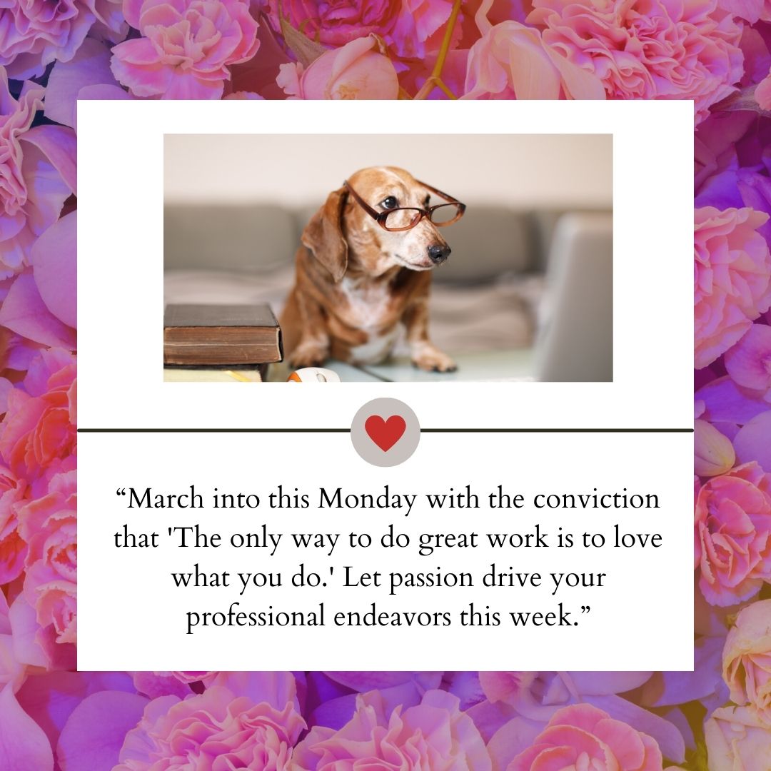 Work Week Wisdom: Empowering Monday Quotes for Professionals