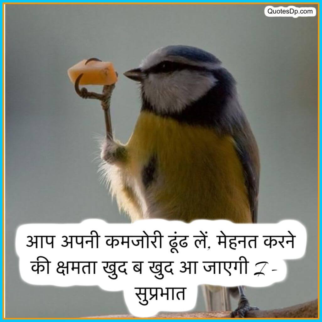 good morning in hindi quotes