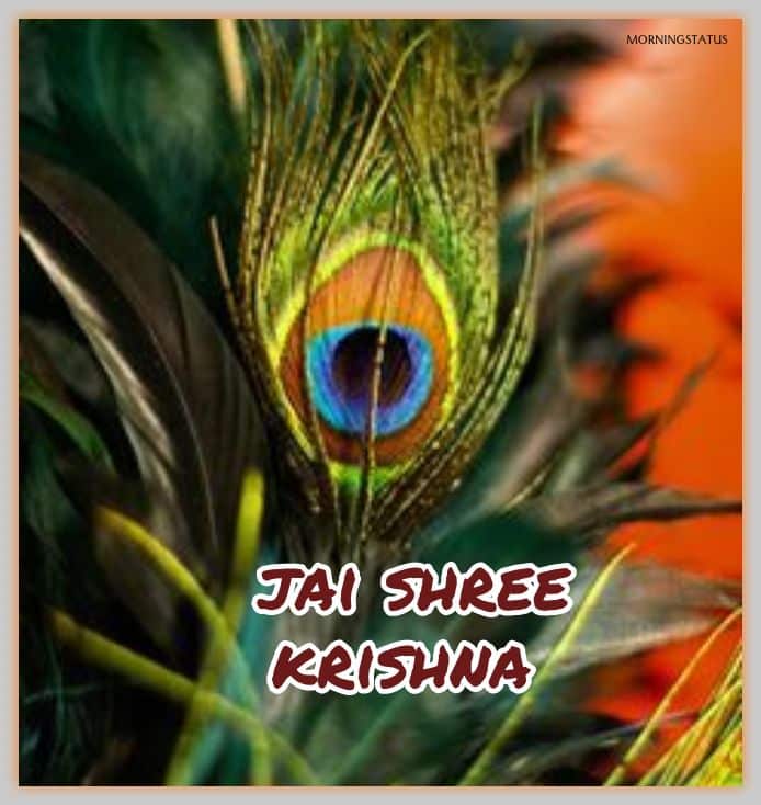 good morning krishna images