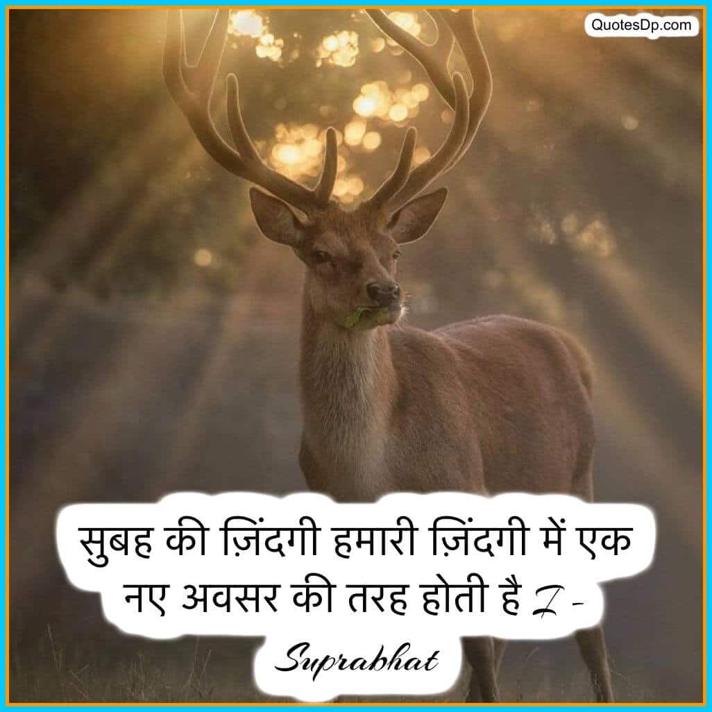 good morning quotes in hindi with images