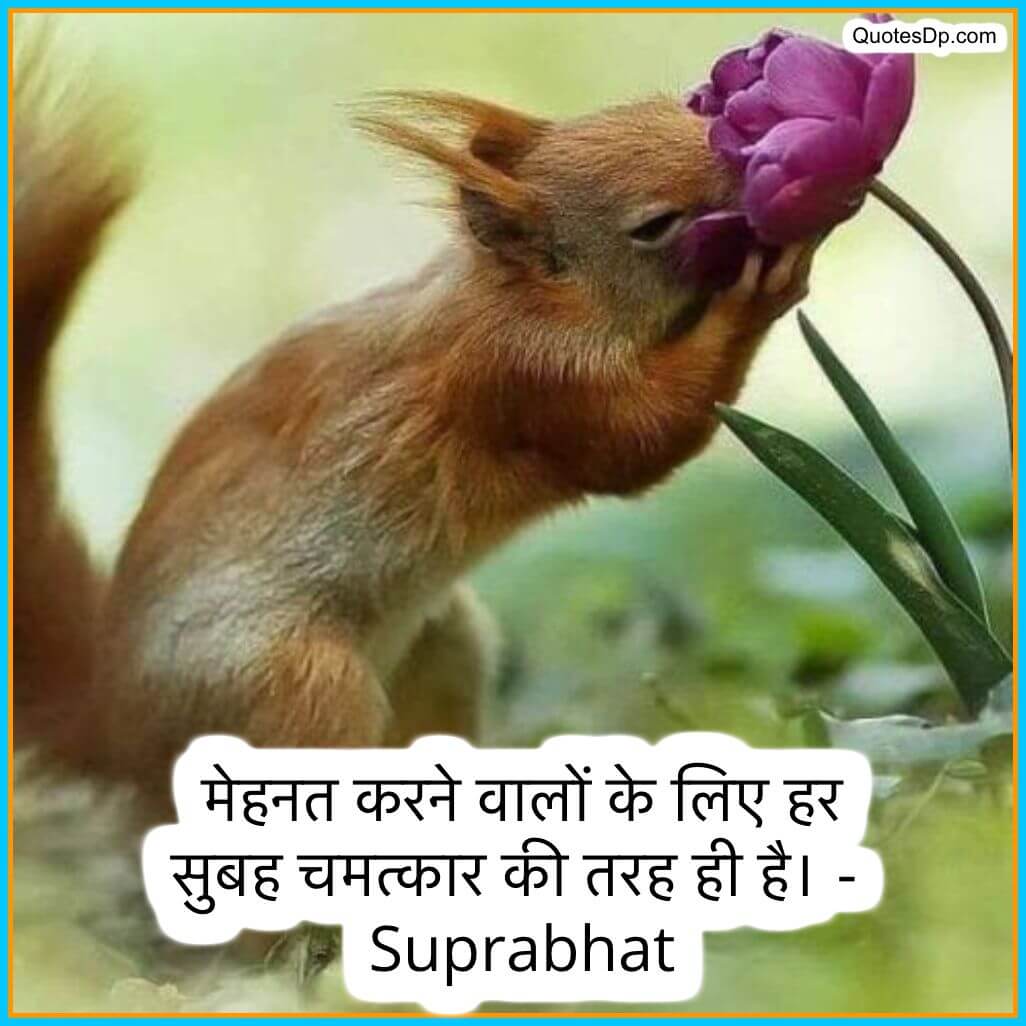 good morning wishes in hindi