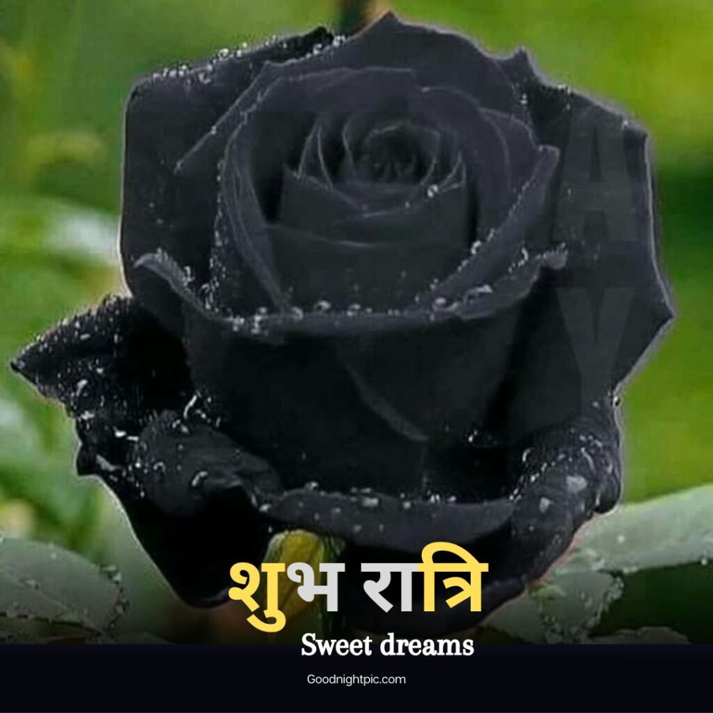 good night images in marathi
