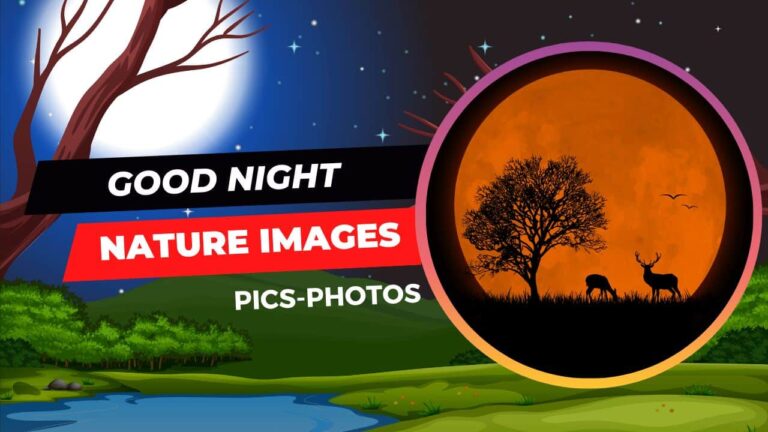 good-night-nature-images