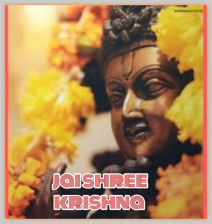 jai shree krishna images