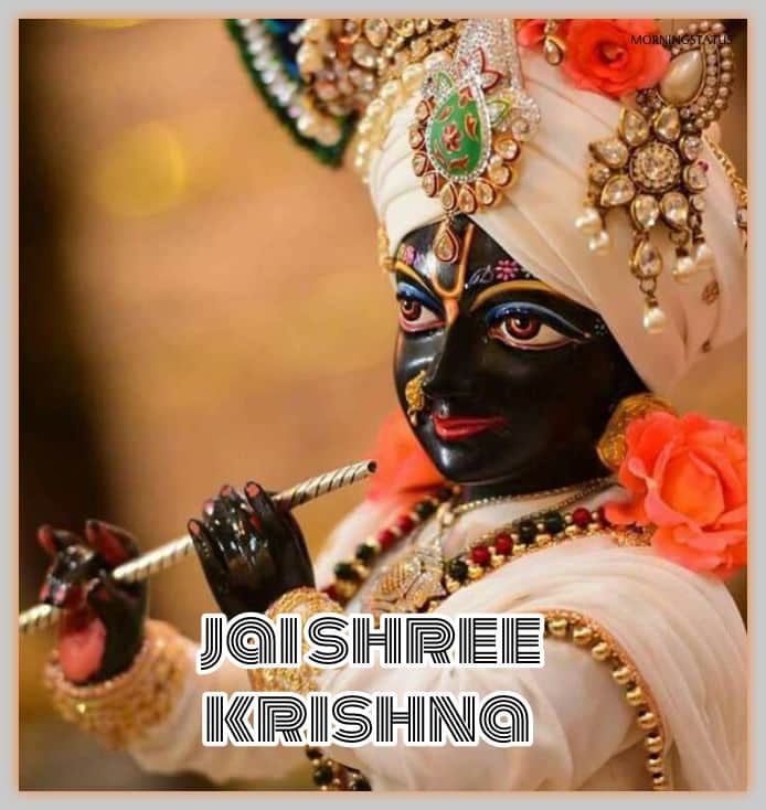 jai shree krishna images