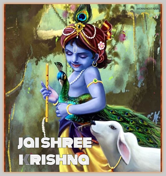 jai shree krishna images