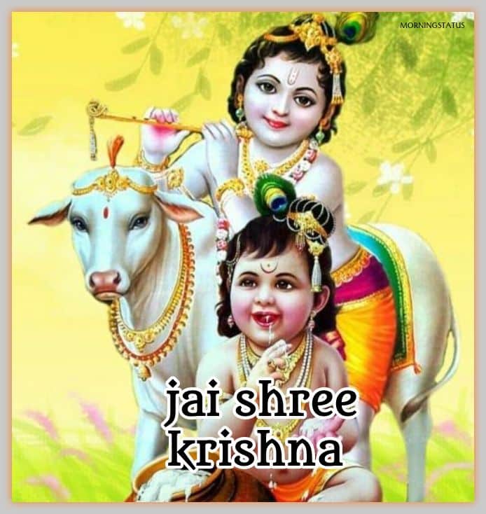 jai shree krishna images